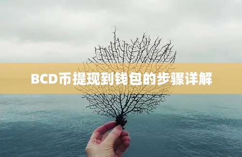 BCD币提现到钱包的步骤详解