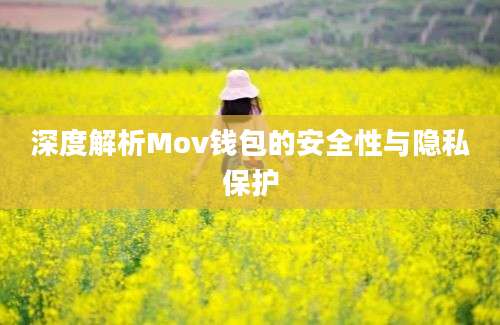 深度解析Mov钱包的安全性与隐私保护