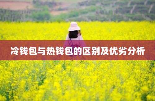 冷钱包与热钱包的区别及优劣分析