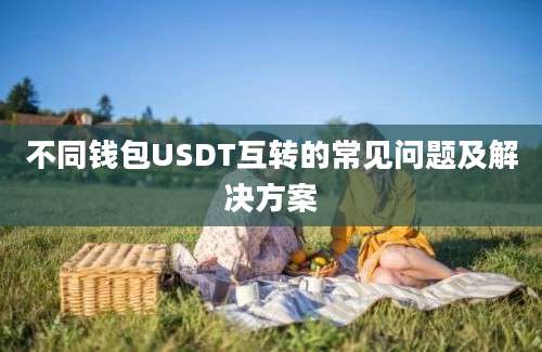 不同钱包USDT互转的常见问题及解决方案