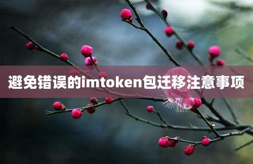 避免错误的imtoken包迁移注意事项