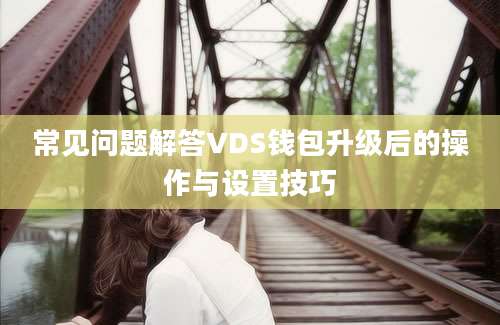 常见问题解答VDS钱包升级后的操作与设置技巧