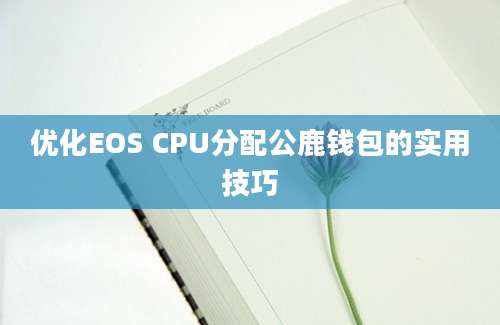 优化EOS CPU分配公鹿钱包的实用技巧