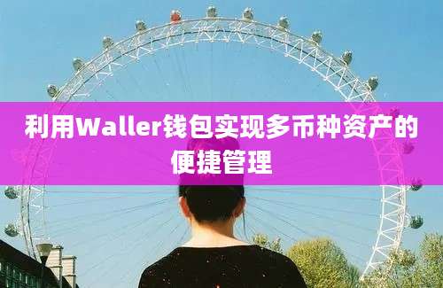 利用Waller钱包实现多币种资产的便捷管理