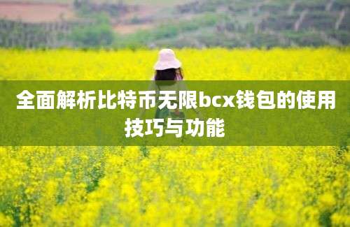 全面解析比特币无限bcx钱包的使用技巧与功能