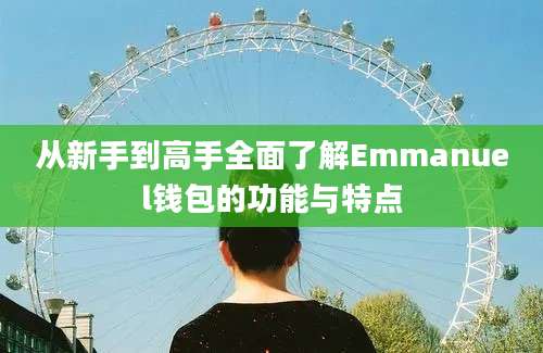 从新手到高手全面了解Emmanuel钱包的功能与特点