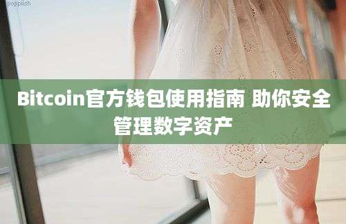 Bitcoin官方钱包使用指南 助你安全管理数字资产