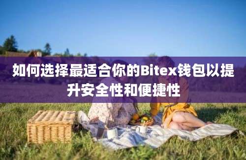 如何选择最适合你的Bitex钱包以提升安全性和便捷性