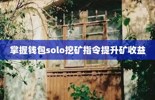 掌握钱包solo挖矿指令提升矿收益