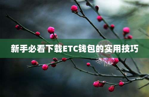 新手必看下载ETC钱包的实用技巧