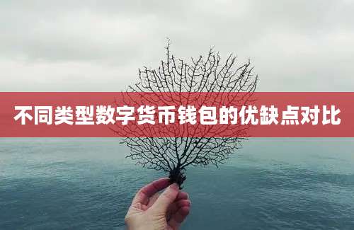 不同类型数字货币钱包的优缺点对比