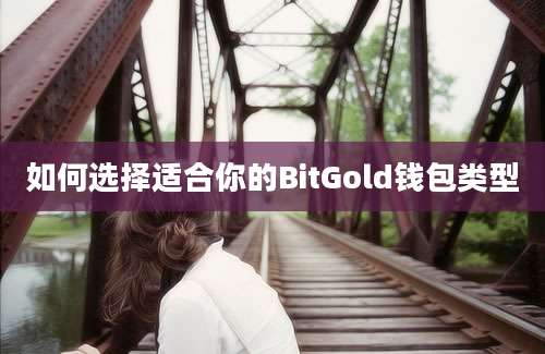 如何选择适合你的BitGold钱包类型