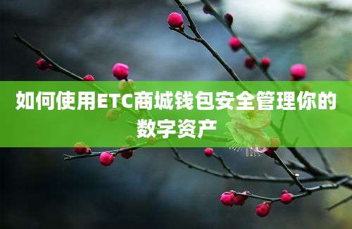 如何使用ETC商城钱包安全管理你的数字资产