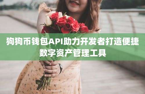 狗狗币钱包API助力开发者打造便捷数字资产管理工具