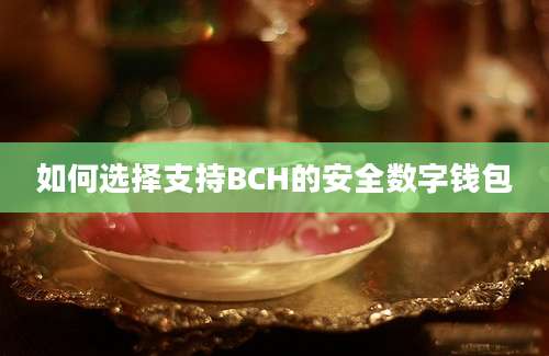 如何选择支持BCH的安全数字钱包