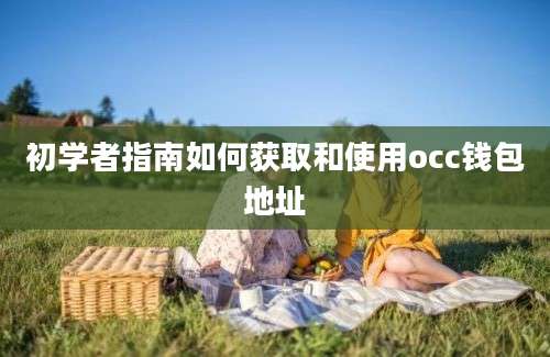 初学者指南如何获取和使用occ钱包地址