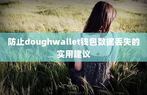 防止doughwallet钱包数据丢失的实用建议