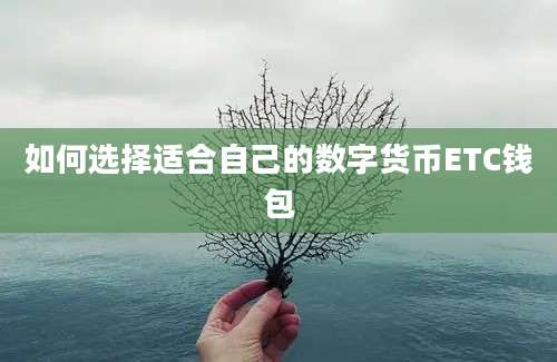 如何选择适合自己的数字货币ETC钱包