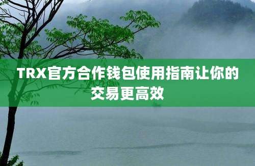 TRX官方合作钱包使用指南让你的交易更高效