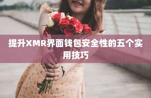 提升XMR界面钱包安全性的五个实用技巧