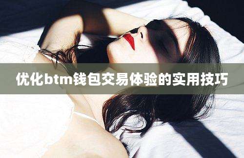 优化btm钱包交易体验的实用技巧