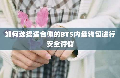 如何选择适合你的BTS内盘钱包进行安全存储