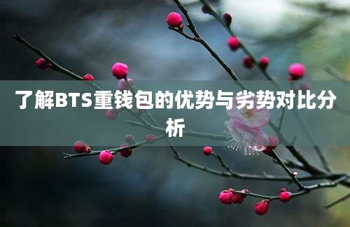 了解BTS重钱包的优势与劣势对比分析