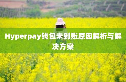 Hyperpay钱包未到账原因解析与解决方案