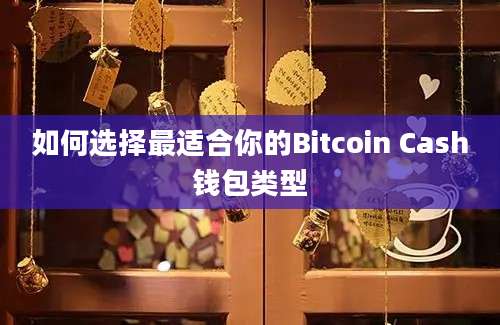 如何选择最适合你的Bitcoin Cash钱包类型