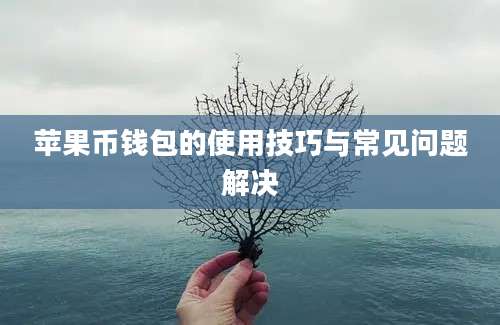 苹果币钱包的使用技巧与常见问题解决