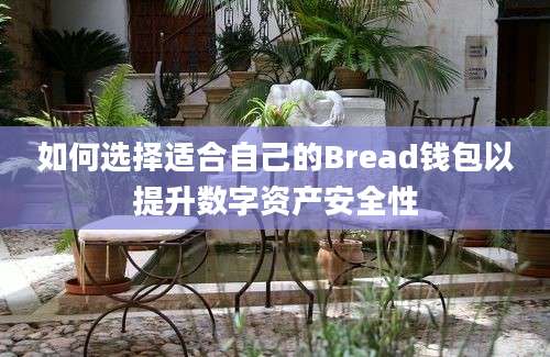 如何选择适合自己的Bread钱包以提升数字资产安全性