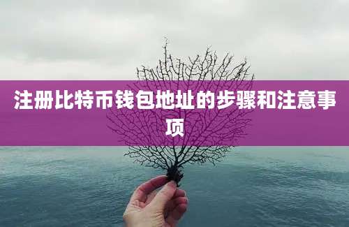 注册比特币钱包地址的步骤和注意事项