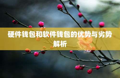 硬件钱包和软件钱包的优势与劣势解析