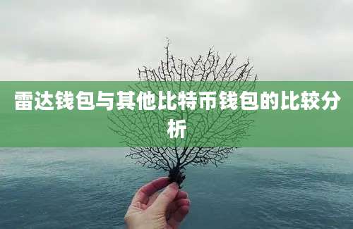 雷达钱包与其他比特币钱包的比较分析