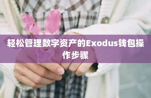 轻松管理数字资产的Exodus钱包操作步骤