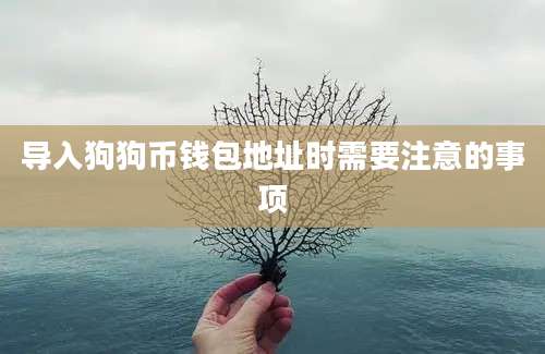 导入狗狗币钱包地址时需要注意的事项