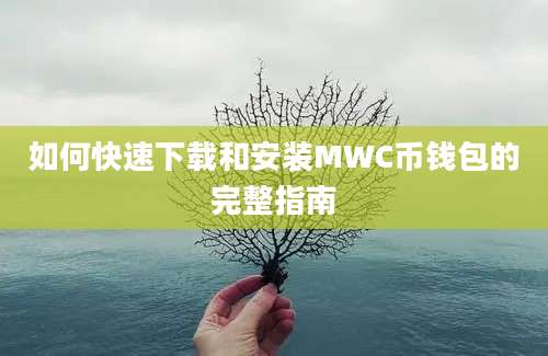 如何快速下载和安装MWC币钱包的完整指南