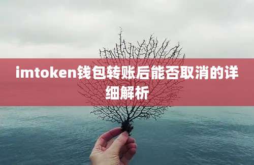 imtoken钱包转账后能否取消的详细解析