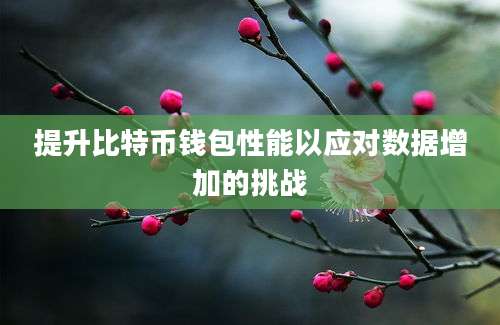 提升比特币钱包性能以应对数据增加的挑战