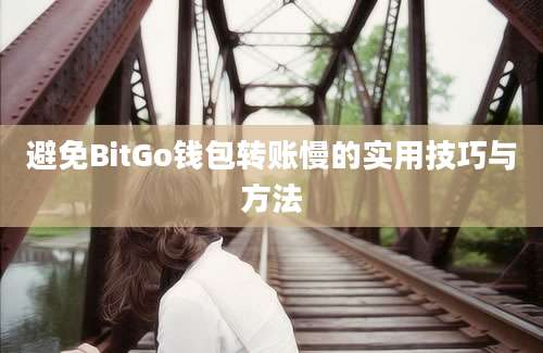 避免BitGo钱包转账慢的实用技巧与方法