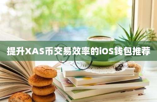 提升XAS币交易效率的iOS钱包推荐