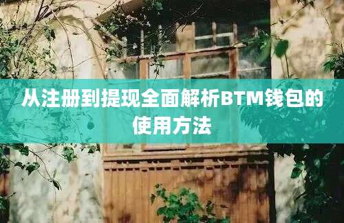 从注册到提现全面解析BTM钱包的使用方法