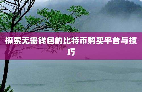 探索无需钱包的比特币购买平台与技巧