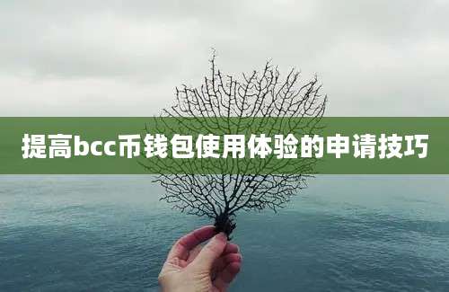 提高bcc币钱包使用体验的申请技巧