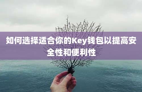 如何选择适合你的Key钱包以提高安全性和便利性