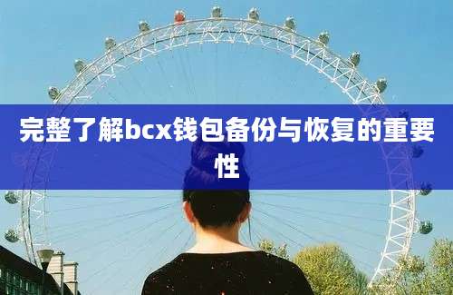 完整了解bcx钱包备份与恢复的重要性