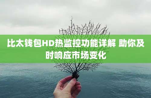 比太钱包HD热监控功能详解 助你及时响应市场变化