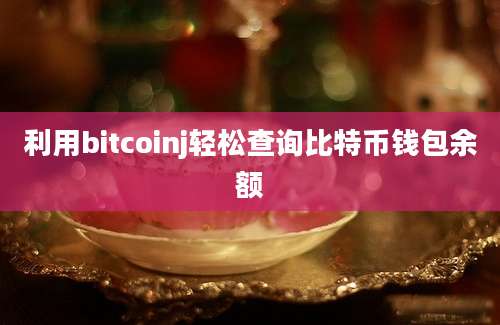 利用bitcoinj轻松查询比特币钱包余额