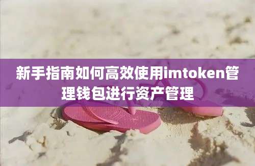 新手指南如何高效使用imtoken管理钱包进行资产管理