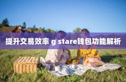 提升交易效率 g stare钱包功能解析